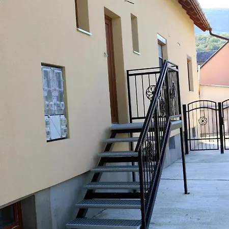 Gracia 바다초니토마이